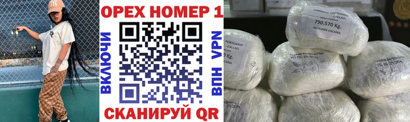 Cocaine FishScale  Купить закладки  Заводоуковск 