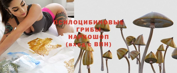 СК Ельня