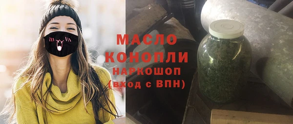 СК Ельня