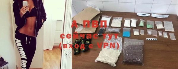 винт Елабуга