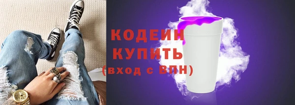 СК Ельня