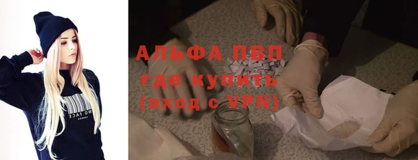 СК Ельня