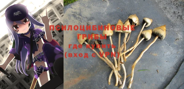 СК Ельня
