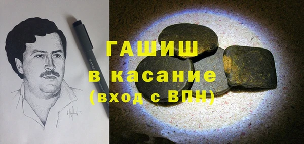 СК Ельня