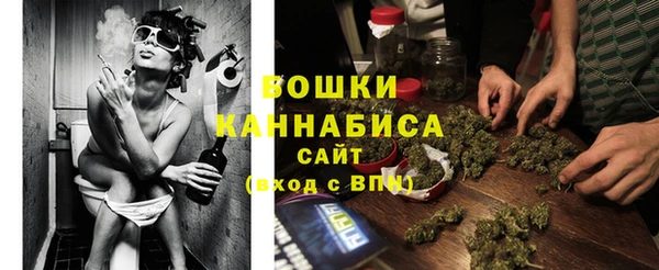СК Ельня