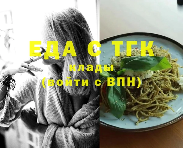 СК Ельня