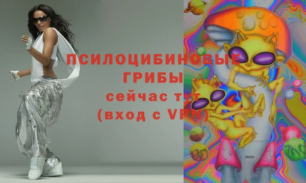 СК Ельня