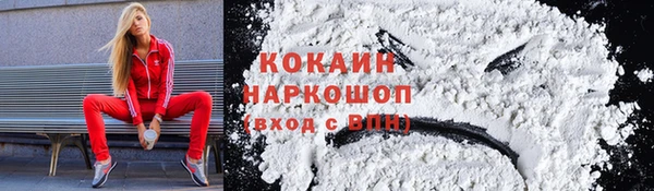 СК Ельня
