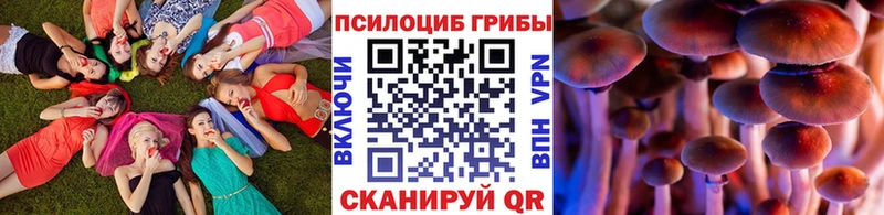 Купить  Заводоуковск  Псилоцибиновые грибы MAGIC MUSHROOMS 